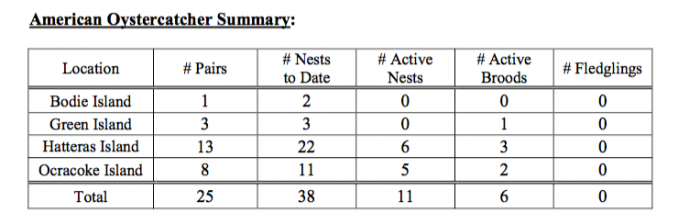 Weekly Seashore Reports 6/10/15